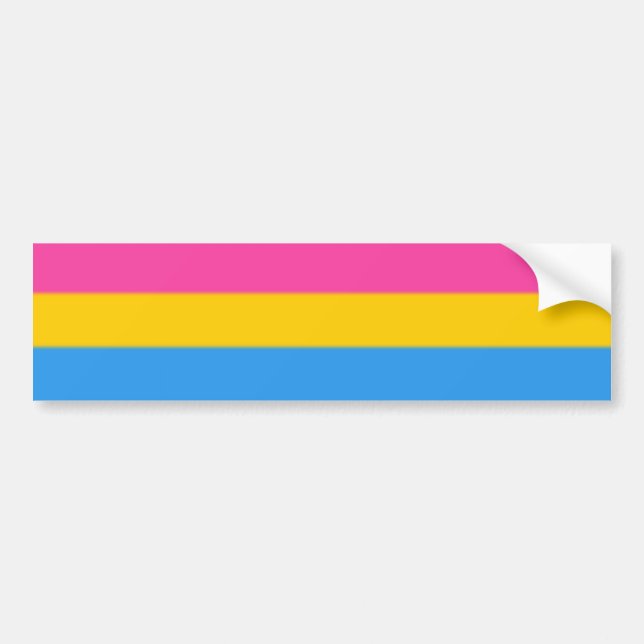 Falln Pansexual Pride Flag Bumper Sticker (Front)