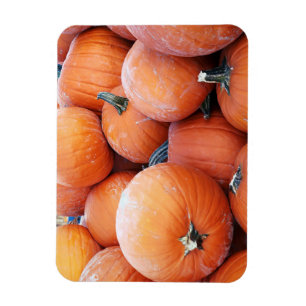 Falln Pumpkin Pile Magnet