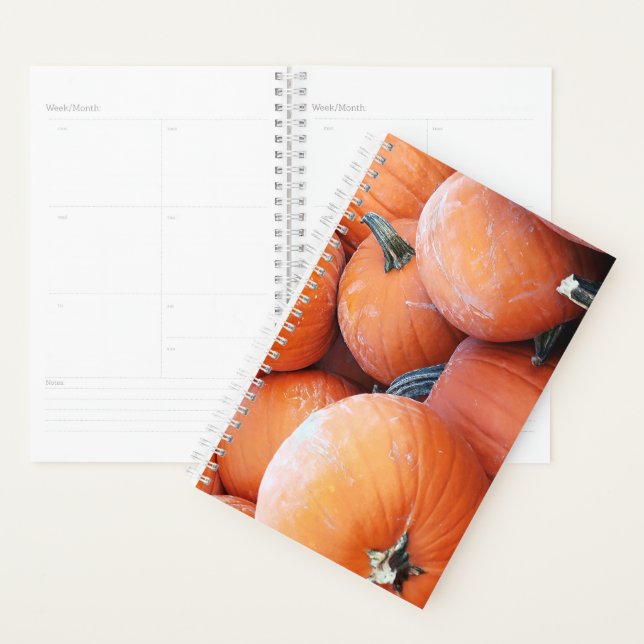 Falln Pumpkin Pile Planner (Display)