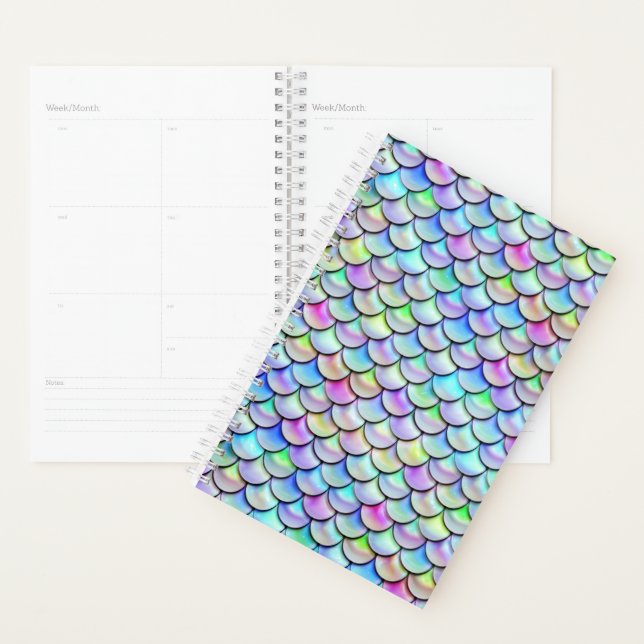 Falln Rainbow Bubble Scales Planner (Display)
