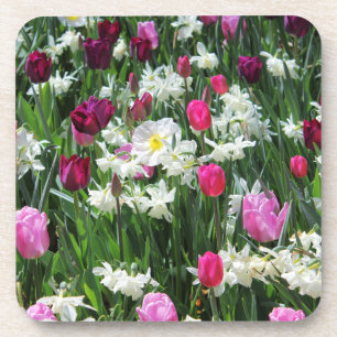 Falln Romantic Spring Morning Coaster