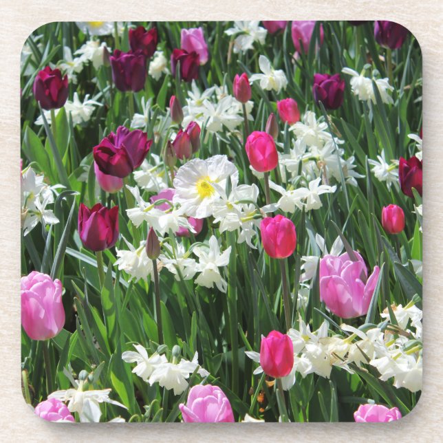 Falln Romantic Spring Morning Coaster (Front)