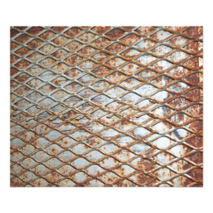 Falln Rusty Grate Photo Print