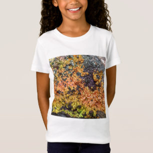 Falln Rusty Sunset Stones T-Shirt