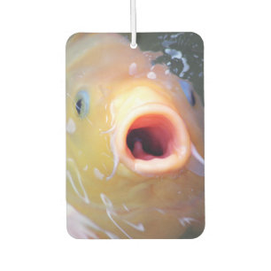 Falln Singing Ghost Koi Car Air Freshener