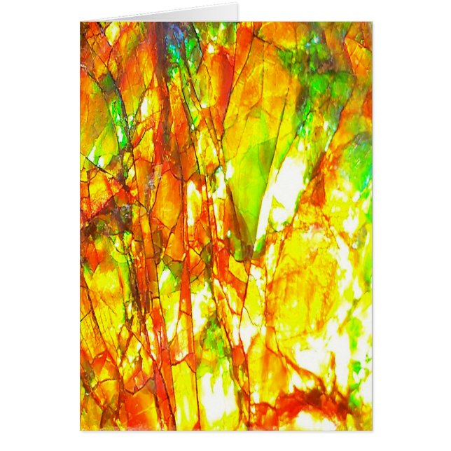 Falln Sunset Ammolite (Front)