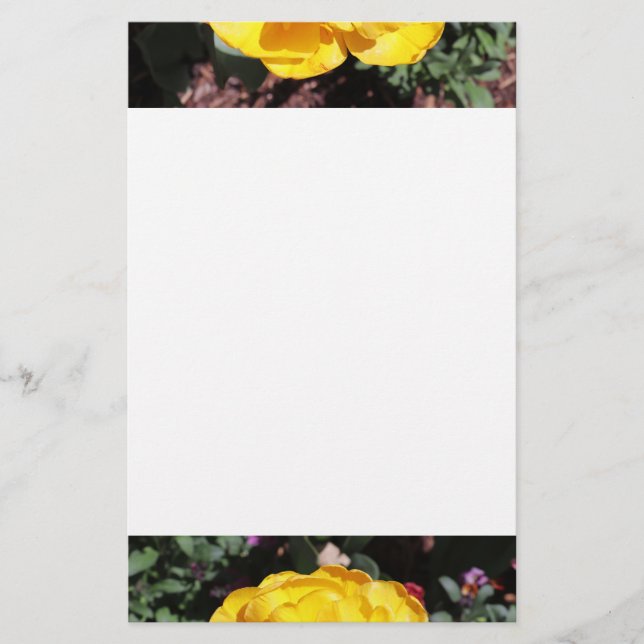 Falln Sunshine Floral Stationery (Front)