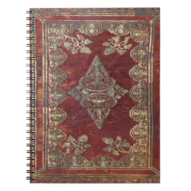 Falln Tarnished Brass Book (Front)