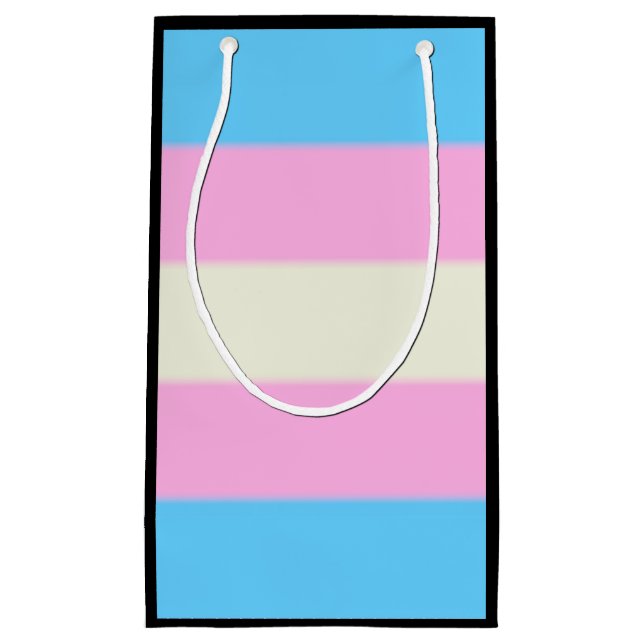 Falln Transgender Pride Flag Small Gift Bag (Front)