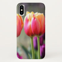 Falln Tulips Aflame