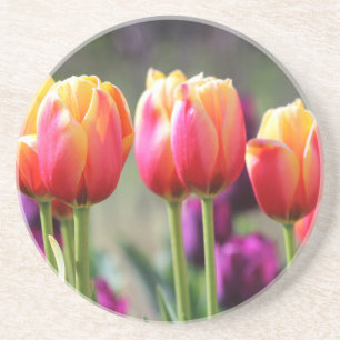 Falln Tulips Aflame Coaster