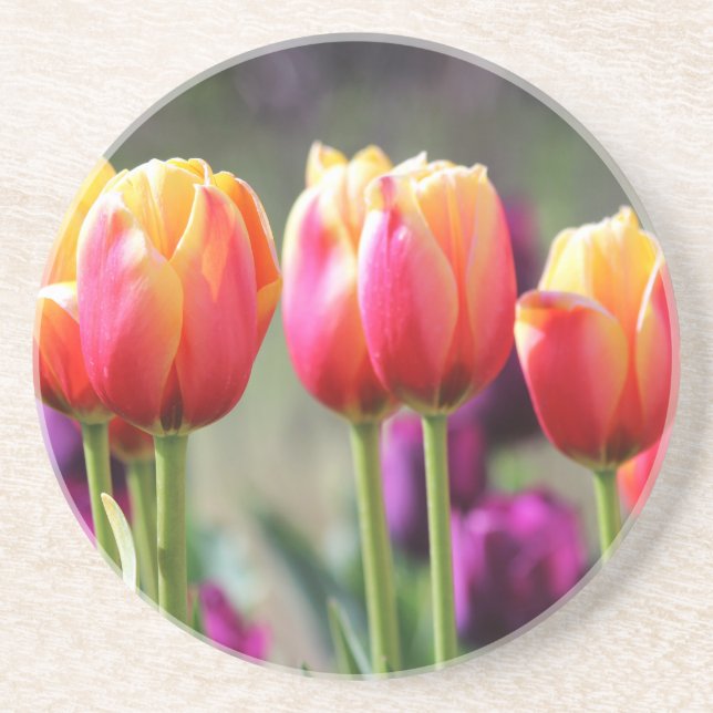 Falln Tulips Aflame Coaster (Front)