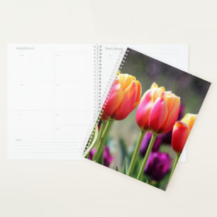 Falln Tulips Aflame Planner