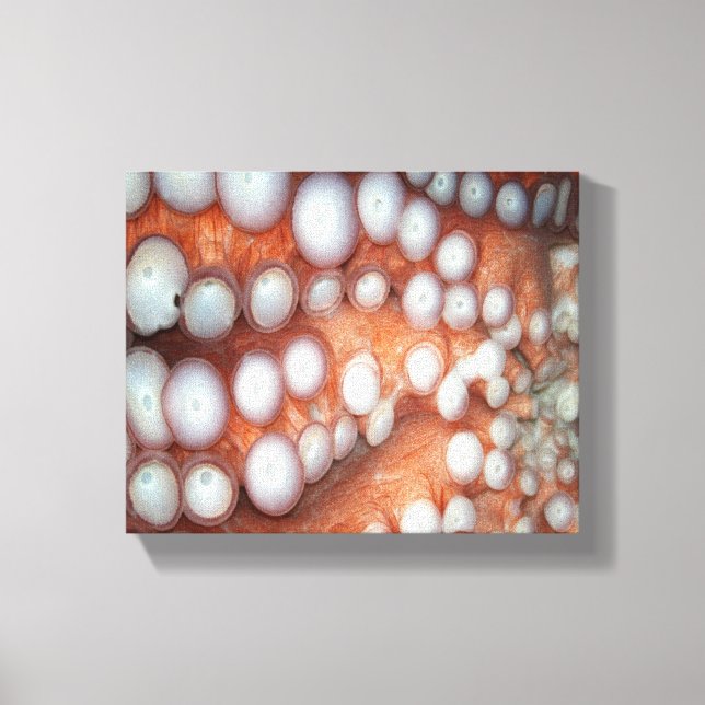 Falln Up Close Octopus Canvas Print (Front)