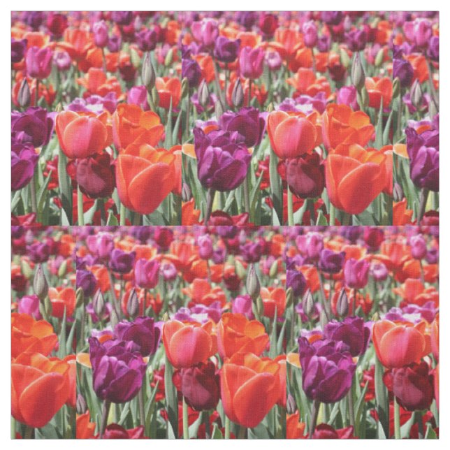Falln Warm Tulips Fabric (Swatch)