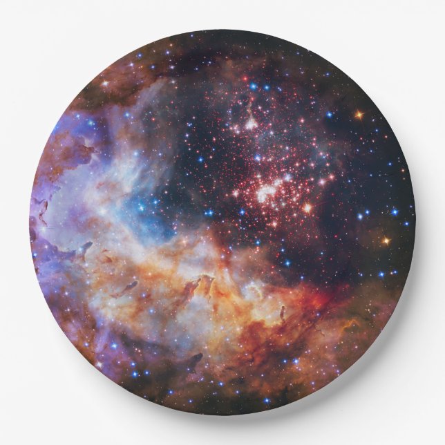 Falln Westerlund Star Field Paper Plate (Front)