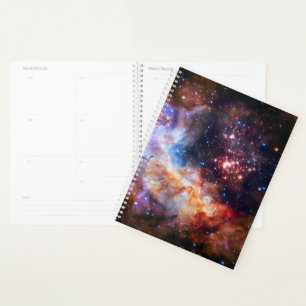 Falln Westerlund Starfield Planner