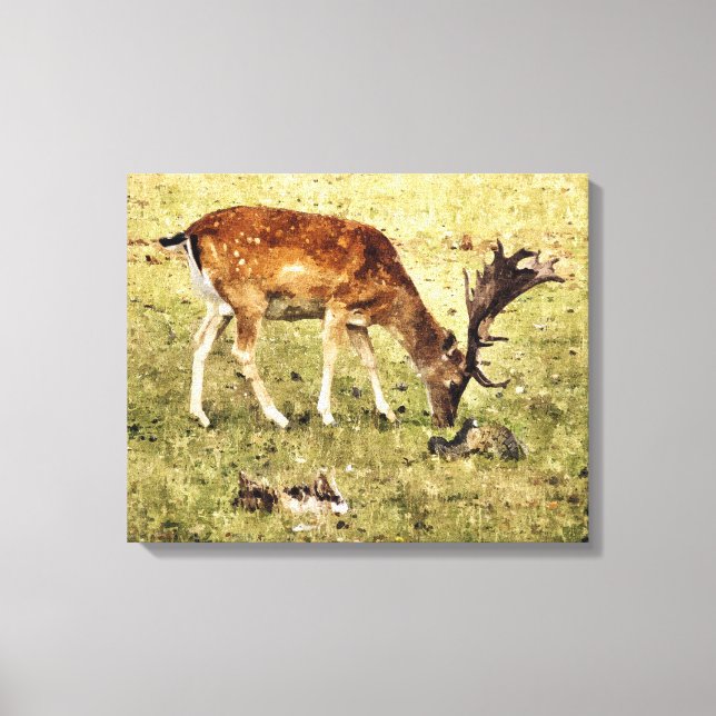 FALLOW DEER CANVAS PRINT (Front)