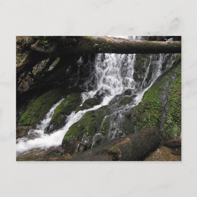 Falls at Redwood State Park Postcard (Front)