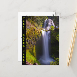 Falls Creek Falls Gifford Pinchot National Forest Postcard