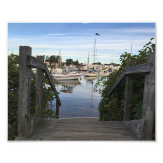 Falmouth Harbour Cape Cod Photo Print