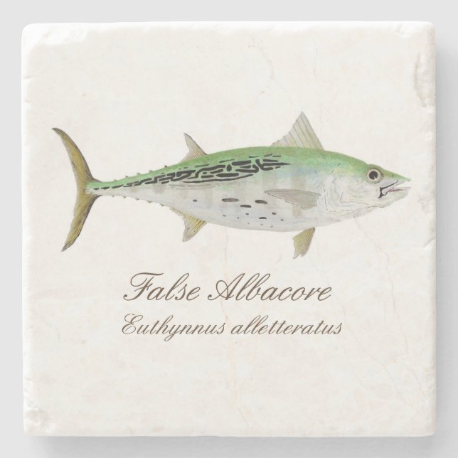 False Albacore Coaster (Front)