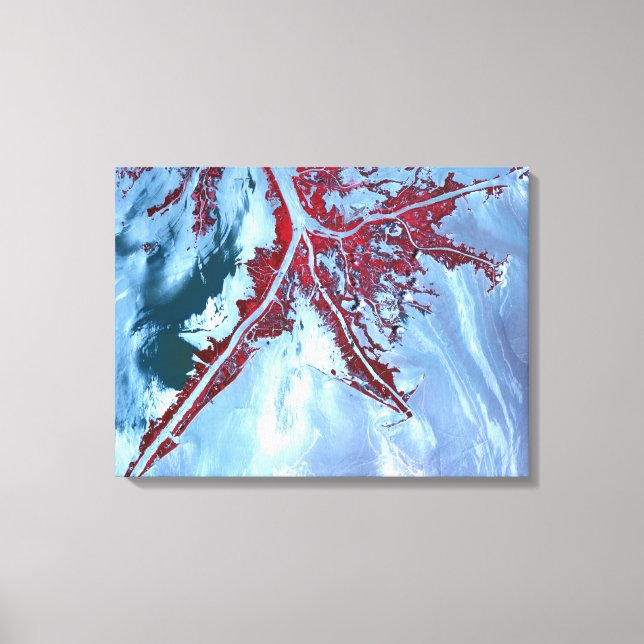 False colour satellite canvas print (Front)