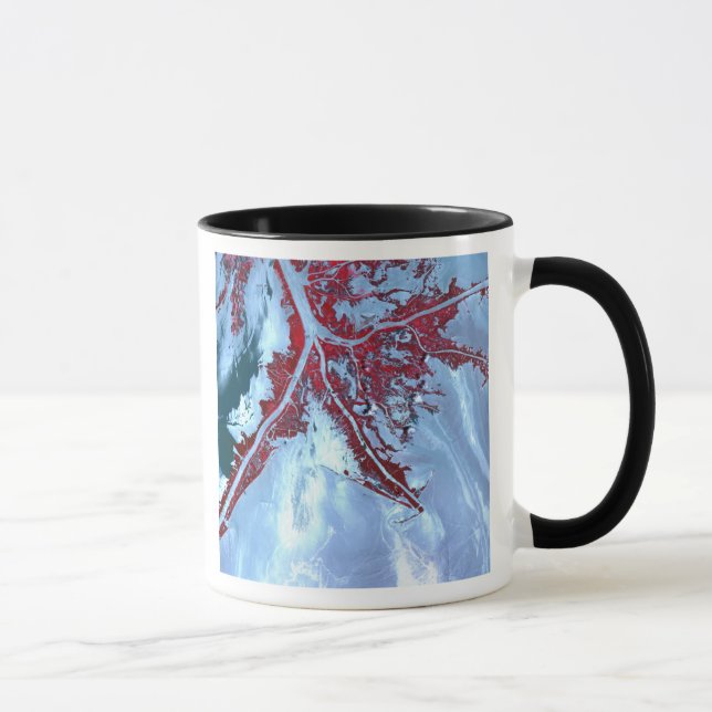 False colour satellite mug (Right)