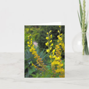 False Indigo @ Stenton House Museum & Garden Thank You Card