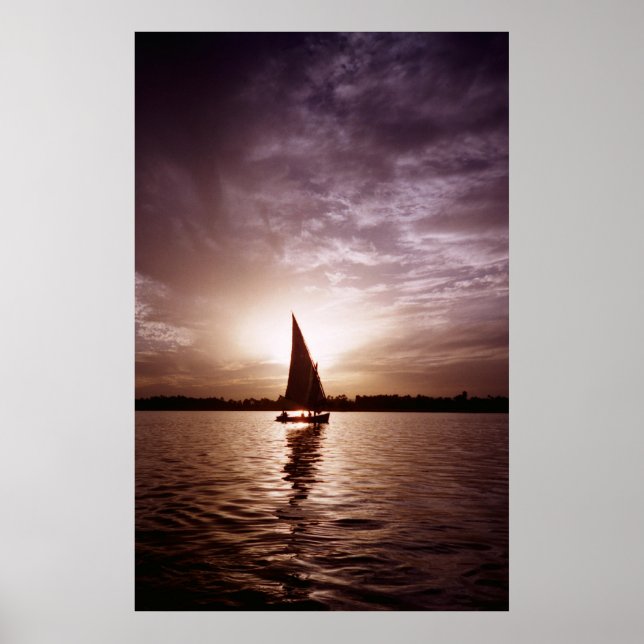 Faluka at Sunlight Poster (Front)