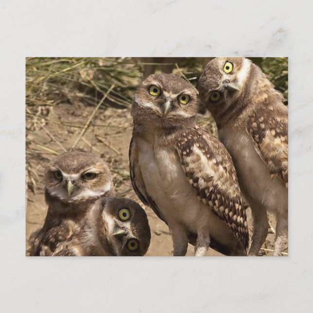 fam uil postcard (Front)