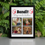Family 4 photo customised dog collage tabletop plaque<br><div class="desc">Celebrate your best friend with a custom Photo Collage plaque. When you have so many fun memories and photos, one photo isn't enough. This poster has 4 photos, a quote, and you can personalise the name of your pet. You can also change the colour of the paw print. To customise,...</div>