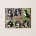 Family collage 6 photos dog and family name jigsaw puzzle<br><div class="desc">Family name,  custom dog photo collage jigsaw puzzle
You can personalise it and add your most beautiful photos,  name of your dog and family name. Great fun !</div>