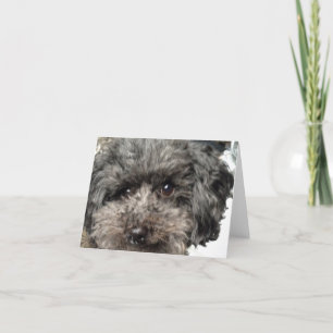 Family Dog Note Card