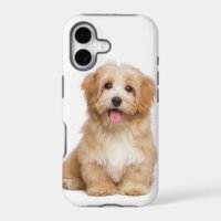 Family Dog Your Pet Photo