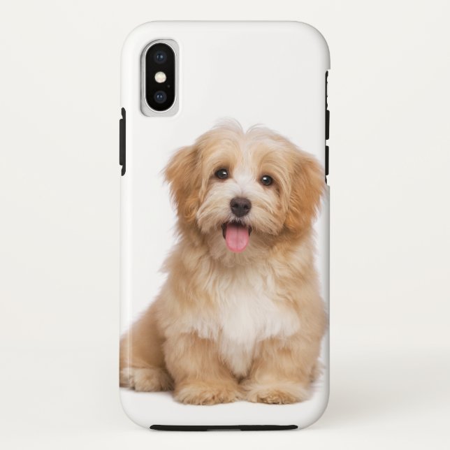 Family Dog Your Pet Photo Case-Mate iPhone Case (Back)