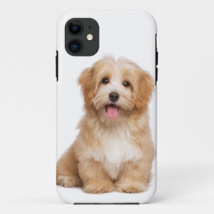 Family Dog Your Pet Photo Case-Mate iPhone Case