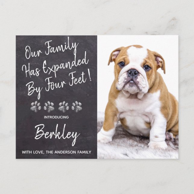 Family Expanded by Four Feet New Pet Puppy Dog Announcement Postcard (Front)