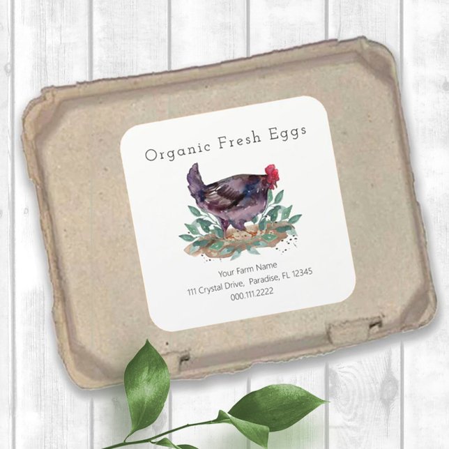 Family Farm Fresh Organic Chicken Eggs Carton Square Sticker (Creator Uploaded)
