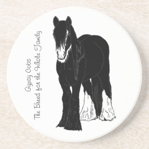 Family Freindly Coaster