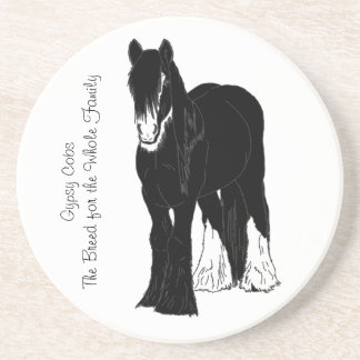 Family Freindly Coaster