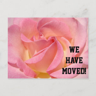 Family has a New Address postcards Pink Rose