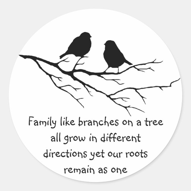 Family like branches on a tree Saying with Birds Classic Round Sticker (Front)