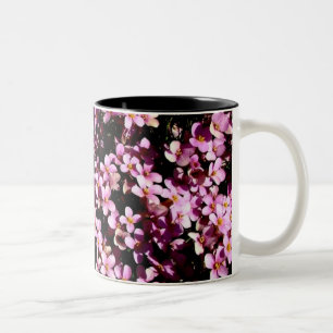 Family mug set