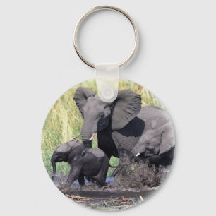 Family of elefants key ring