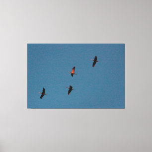 Family Of Four Canvas Print