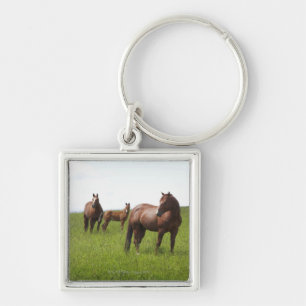 Family of horse in field key ring