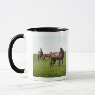 Family of horse in field mug