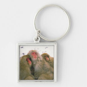 Family of Japanese macaque, Jigokudani, Key Ring