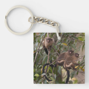 Family of Marmoset Monkeys Key Ring